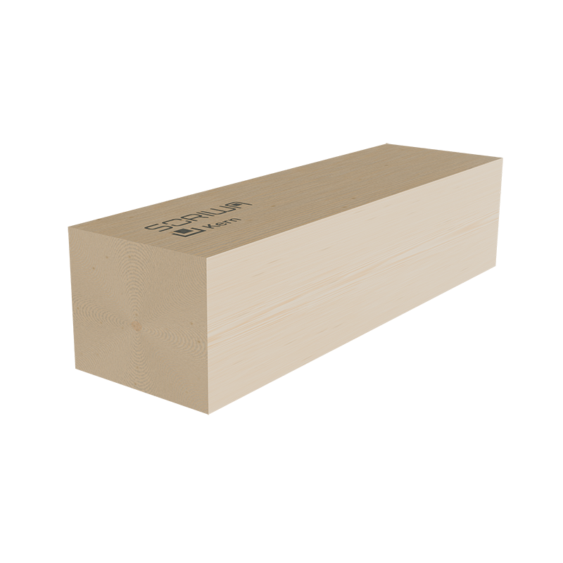 Ein Rendering des SORIWA Kerns
